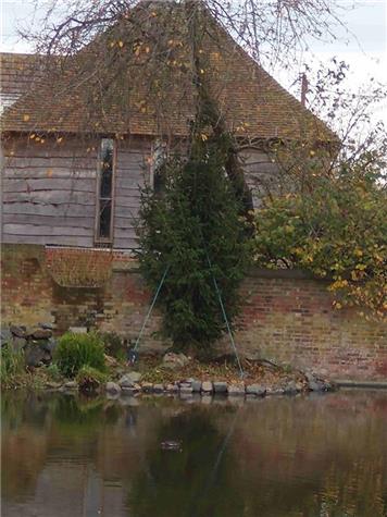  - Christmas tree installed at the pond